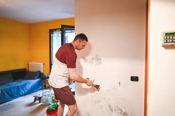 Best Mold Removal Near Me  in Oriska, NY